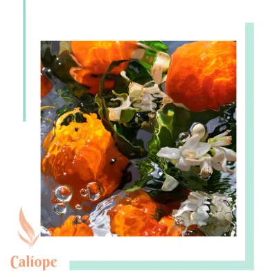 Aqua Allegoria Mandarine Basilic EDT 75 ml - Imagen 3