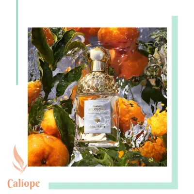 Aqua Allegoria Mandarine Basilic EDT 75 ml - Imagen 5