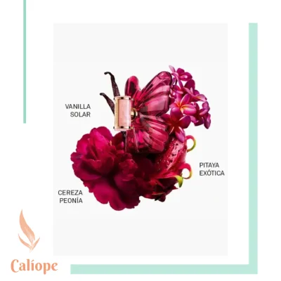 La Bomba edp x80ml - Imagen 4