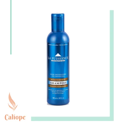 Shampoo Blue Toner x300ml
