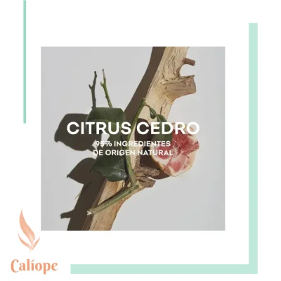 Cofre Agua Fresca Citrus Cedro - Imagen 5
