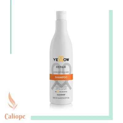 Shampoo Repair x500ml